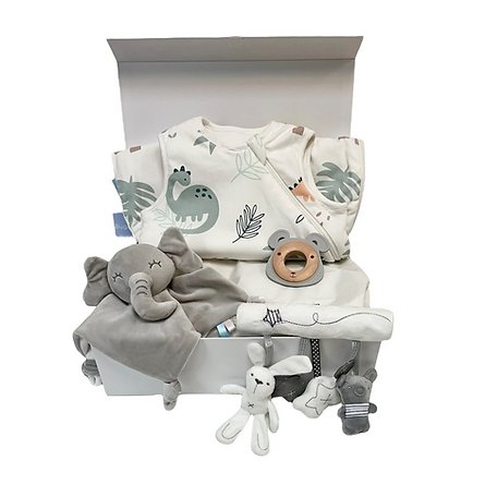 Baby Shower Hampers: Complete with Adorable Baby Sleeping Bags